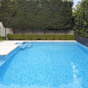 North Curl Curl Pool Design  Small Backyard Pool Design - Northern Beaches, Sydney
