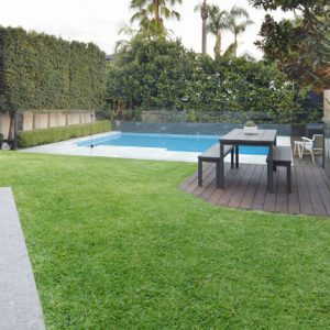 North Curl Curl Pool Design  Small Backyard Pool Design - Northern Beaches, Sydney