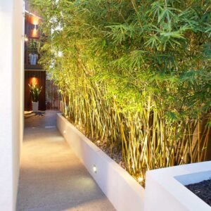 Northern Beaches Garden Renovation, Landscape Design - Sydney NSW