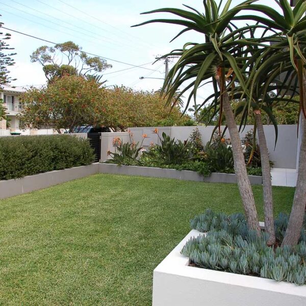 Northern Beaches Garden Design, Contemporary Landscape Design - Sydney NSW