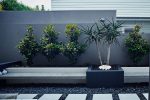 Wall in modern garden design